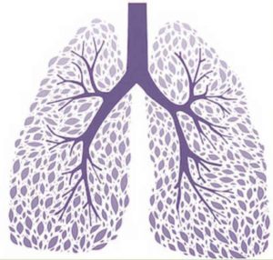 Μετεκπαιδευτικά Κλινικά Σεμινάρια Στην Πνευμονολογία 2019